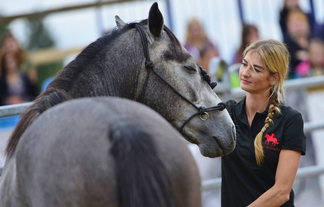 Talent Of The Horse - Groundwork Clinics